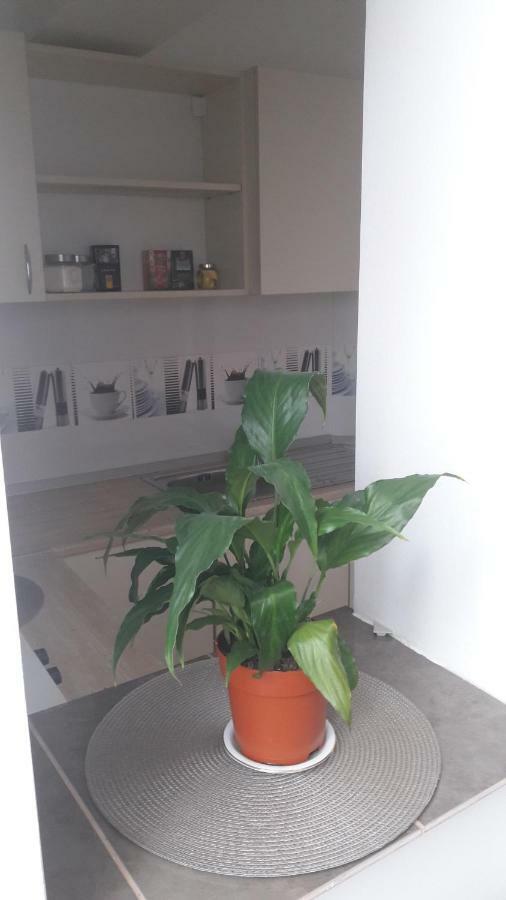 Melody Apartment Alba Iulia Zewnętrze zdjęcie